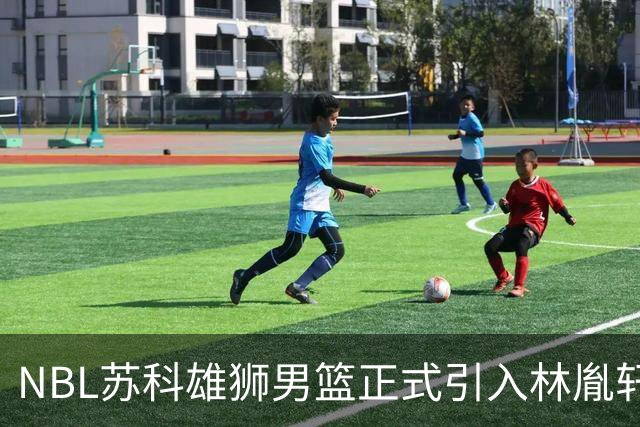 NBL苏科雄狮男篮正式引入林胤轩，双重身份助力球队